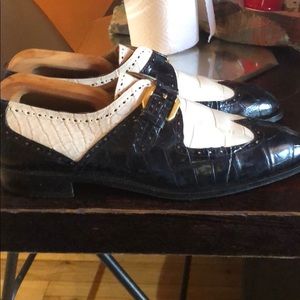 Mauri blue and white gator